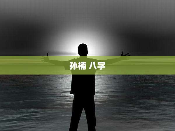 孙楠 八字