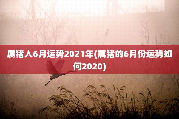 属猪人6月运势2021年(属猪的6月份运势如何2020)