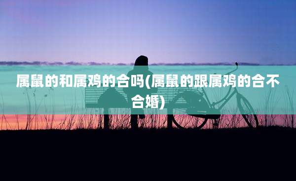 属鼠的和属鸡的合吗(属鼠的跟属鸡的合不合婚)