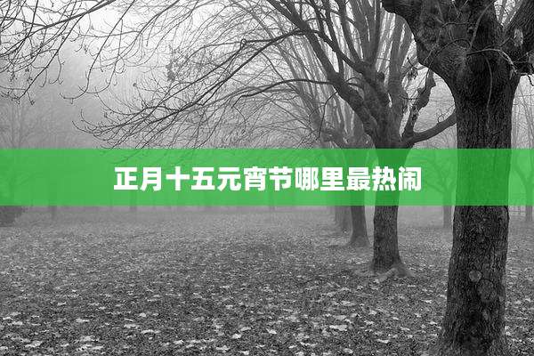 正月十五元宵节哪里最热闹