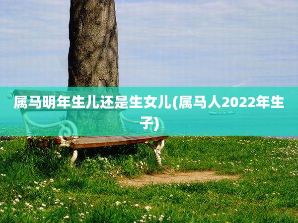 属马明年生儿还是生女儿(属马人2022年生子)