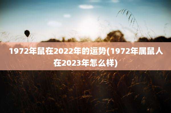 1972年鼠在2022年的运势(1972年属鼠人在2023年怎么样)