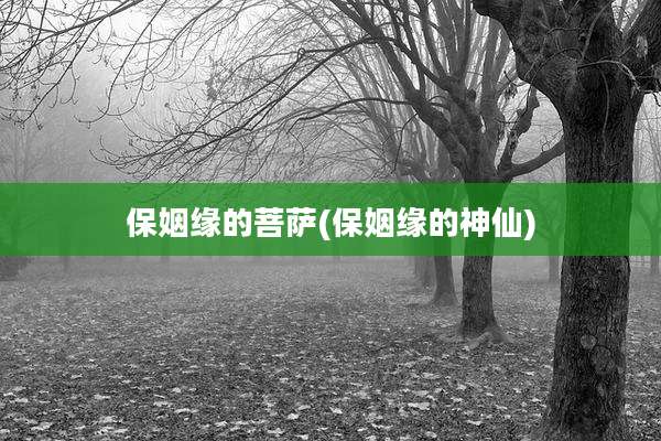 保姻缘的菩萨(保姻缘的神仙)