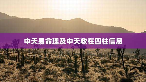 中天易命理及中天敉在四柱信息