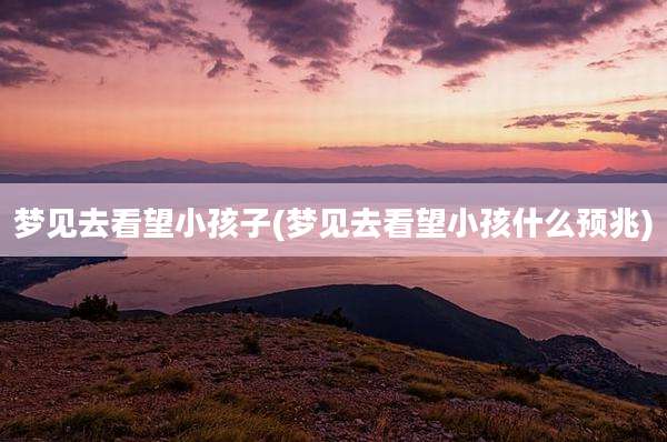 梦见去看望小孩子(梦见去看望小孩什么预兆)