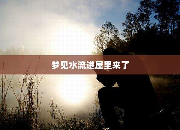 梦见水流进屋里来了