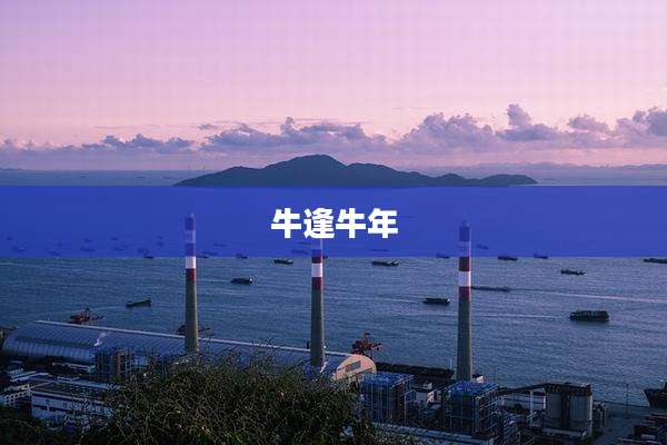 牛逢牛年