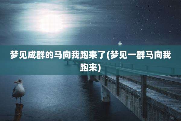梦见成群的马向我跑来了(梦见一群马向我跑来)