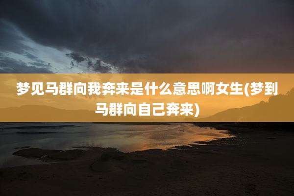 梦见马群向我奔来是什么意思啊女生(梦到马群向自己奔来)