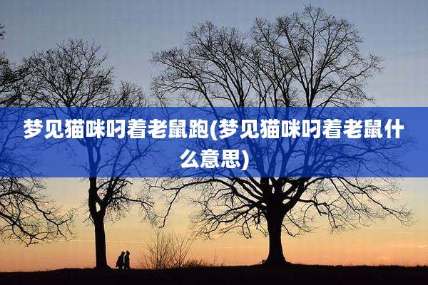 梦见猫咪叼着老鼠跑(梦见猫咪叼着老鼠什么意思)