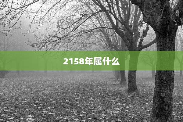 2158年属什么