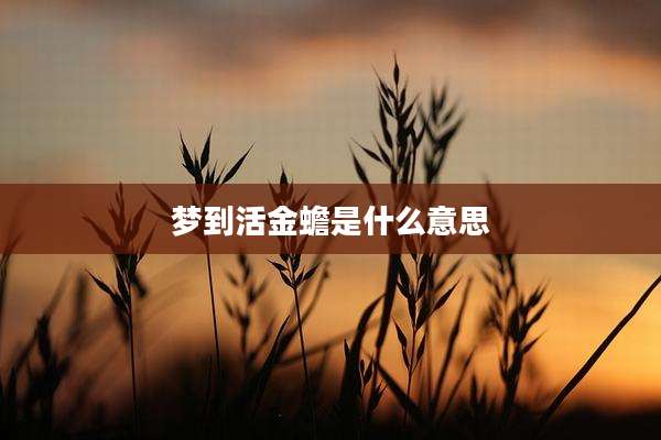梦到活金蟾是什么意思