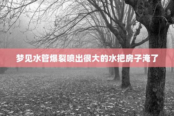 梦见水管爆裂喷出很大的水把房子淹了