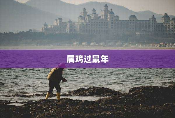 属鸡过鼠年