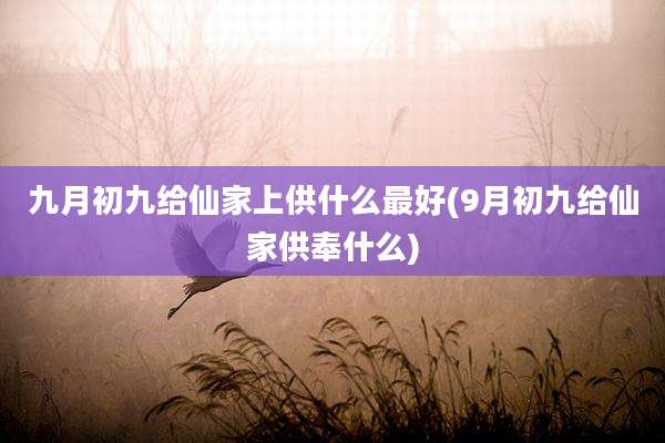 九月初九给仙家上供什么最好(9月初九给仙家供奉什么)