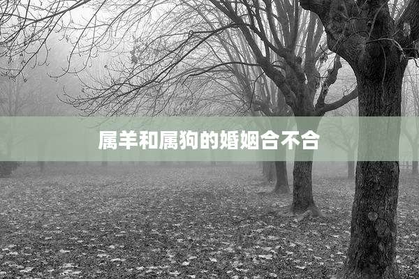 属羊和属狗的婚姻合不合