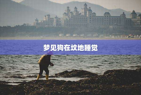 梦见狗在坟地睡觉