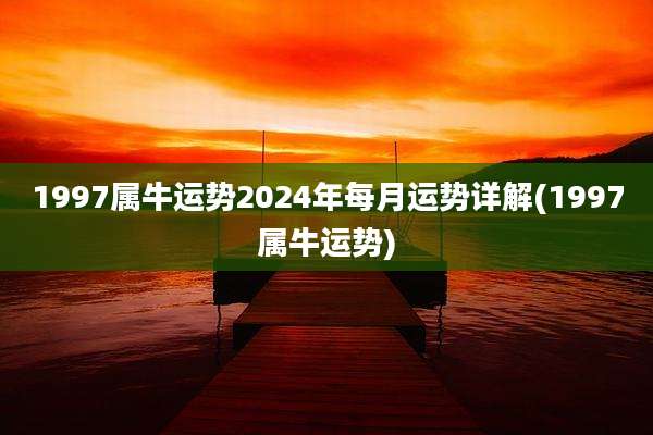 1997属牛运势2024年每月运势详解(1997属牛运势)