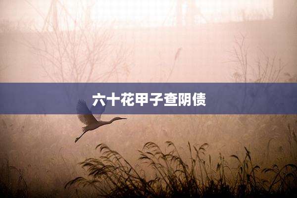 六十花甲子查阴债