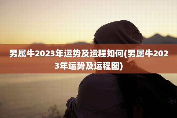 男属牛2023年运势及运程如何(男属牛2023年运势及运程图)