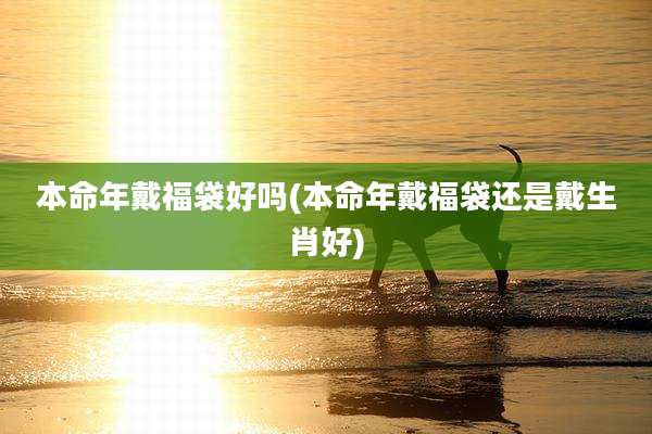 本命年戴福袋好吗(本命年戴福袋还是戴生肖好)