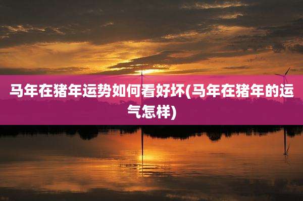 马年在猪年运势如何看好坏(马年在猪年的运气怎样)