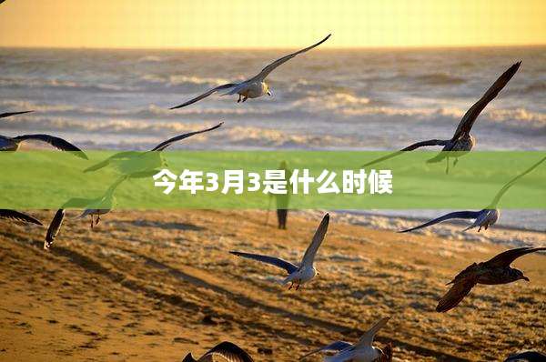 今年3月3是什么时候