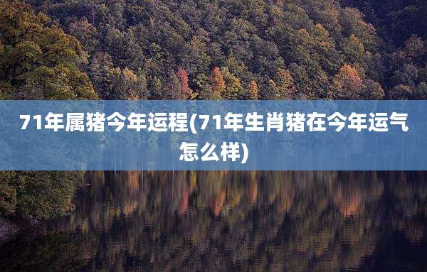 71年属猪今年运程(71年生肖猪在今年运气怎么样)