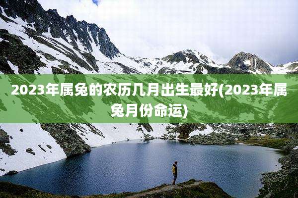 2023年属兔的农历几月出生最好(2023年属兔月份命运)