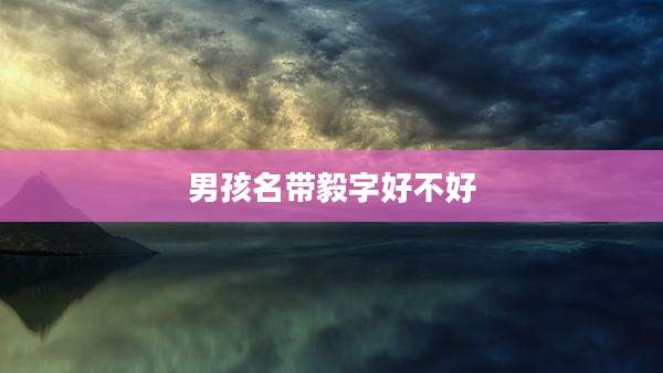 男孩名带毅字好不好