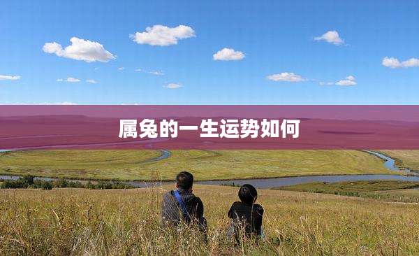 属兔的一生运势如何