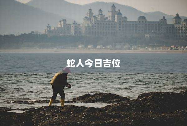 蛇人今日吉位