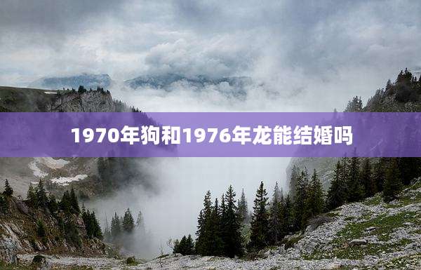 1970年狗和1976年龙能结婚吗
