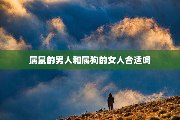 属鼠的男人和属狗的女人合适吗