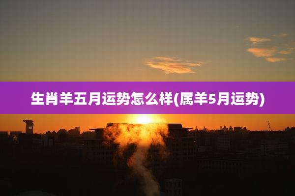 生肖羊五月运势怎么样(属羊5月运势)