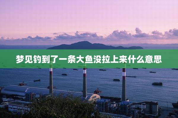 梦见钓到了一条大鱼没拉上来什么意思
