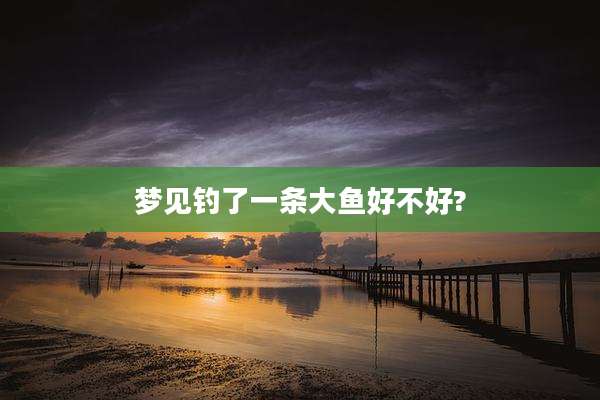 梦见钓了一条大鱼好不好?