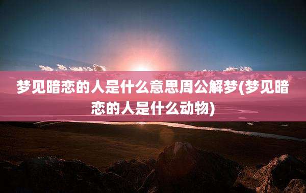 梦见暗恋的人是什么意思周公解梦(梦见暗恋的人是什么动物)