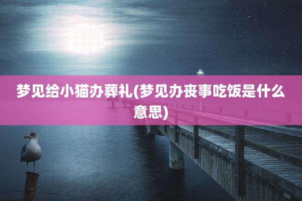 梦见给小猫办葬礼(梦见办丧事吃饭是什么意思)
