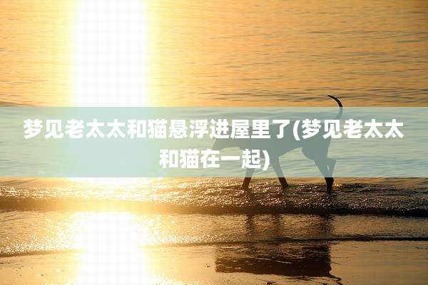 梦见老太太和猫悬浮进屋里了(梦见老太太和猫在一起)