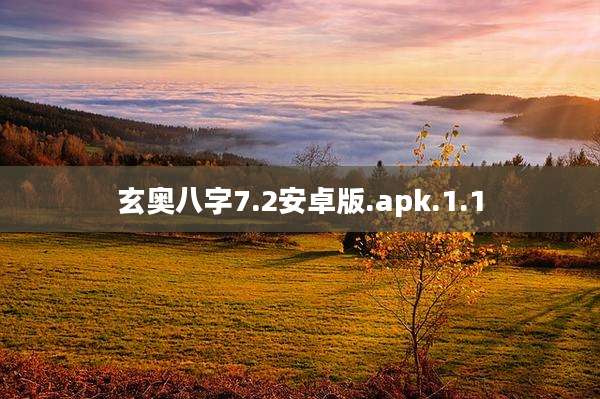 玄奥八字7.2安卓版.apk.1.1