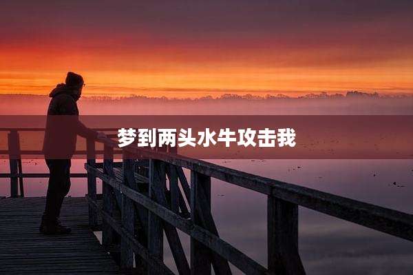 梦到两头水牛攻击我