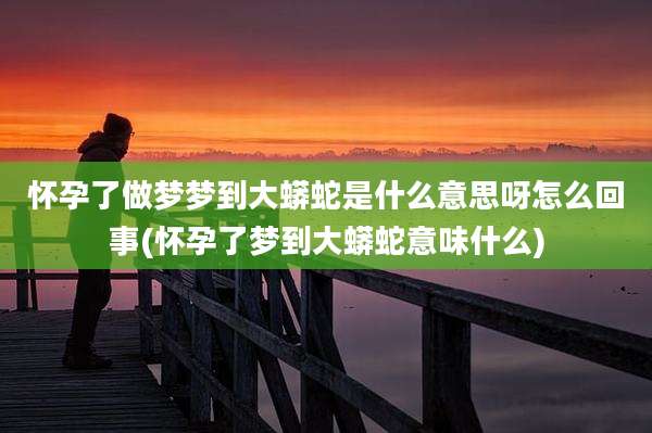 怀孕了做梦梦到大蟒蛇是什么意思呀怎么回事(怀孕了梦到大蟒蛇意味什么)
