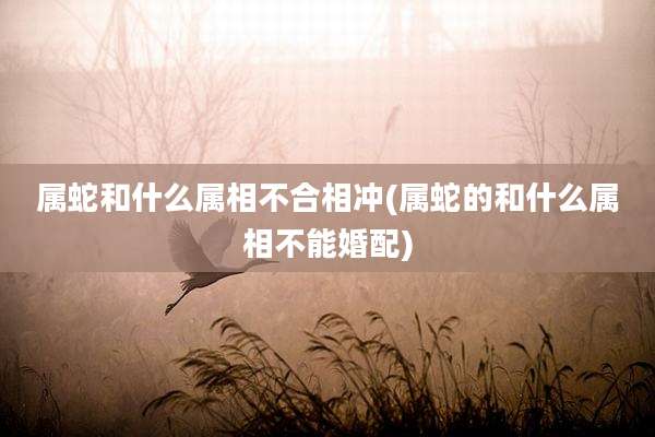 属蛇和什么属相不合相冲(属蛇的和什么属相不能婚配)