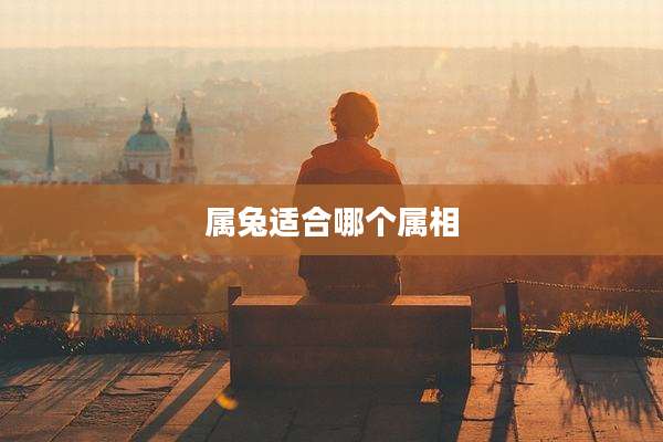 属兔适合哪个属相