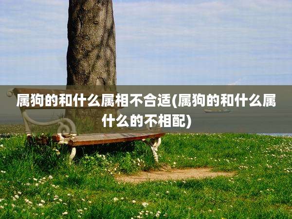 属狗的和什么属相不合适(属狗的和什么属什么的不相配)