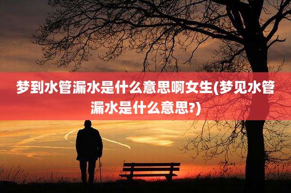 梦到水管漏水是什么意思啊女生(梦见水管漏水是什么意思?)
