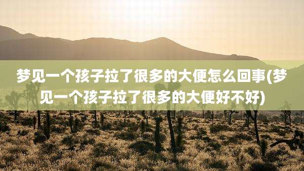 梦见一个孩子拉了很多的大便怎么回事(梦见一个孩子拉了很多的大便好不好)