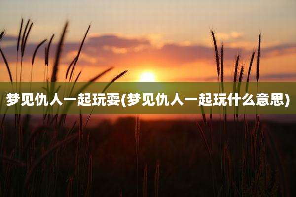 梦见仇人一起玩耍(梦见仇人一起玩什么意思)