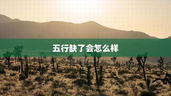 五行缺了会怎么样